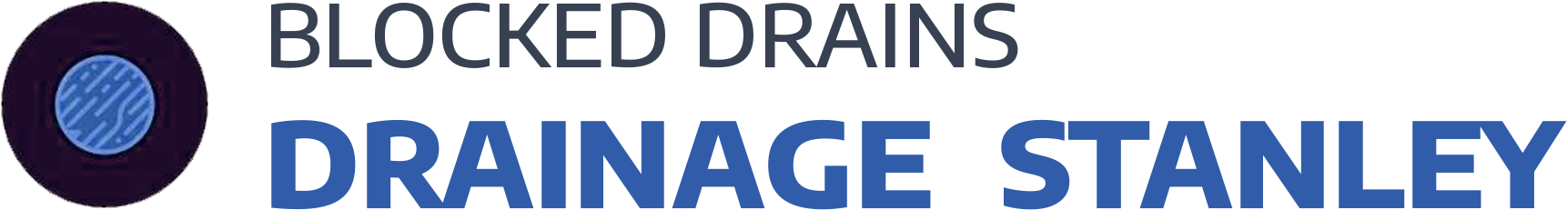 website logo